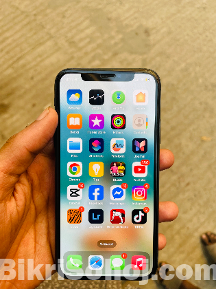 iPhone XS (256) Gb
